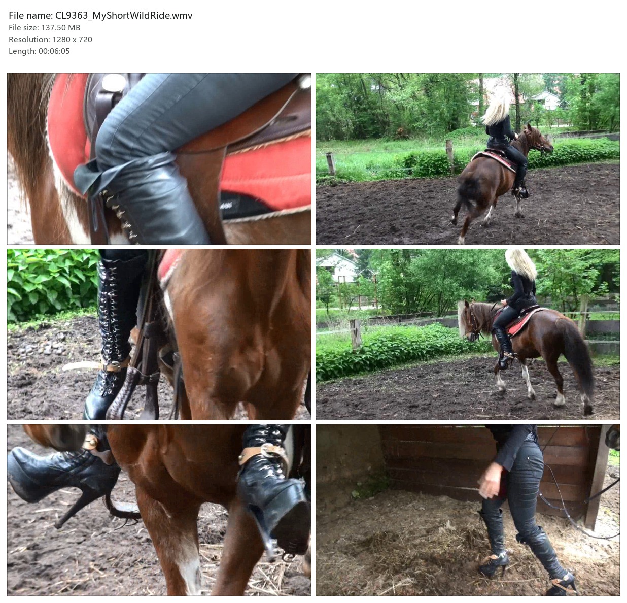 CL9363_MyShortWildRide.wmv_2x3.jpg