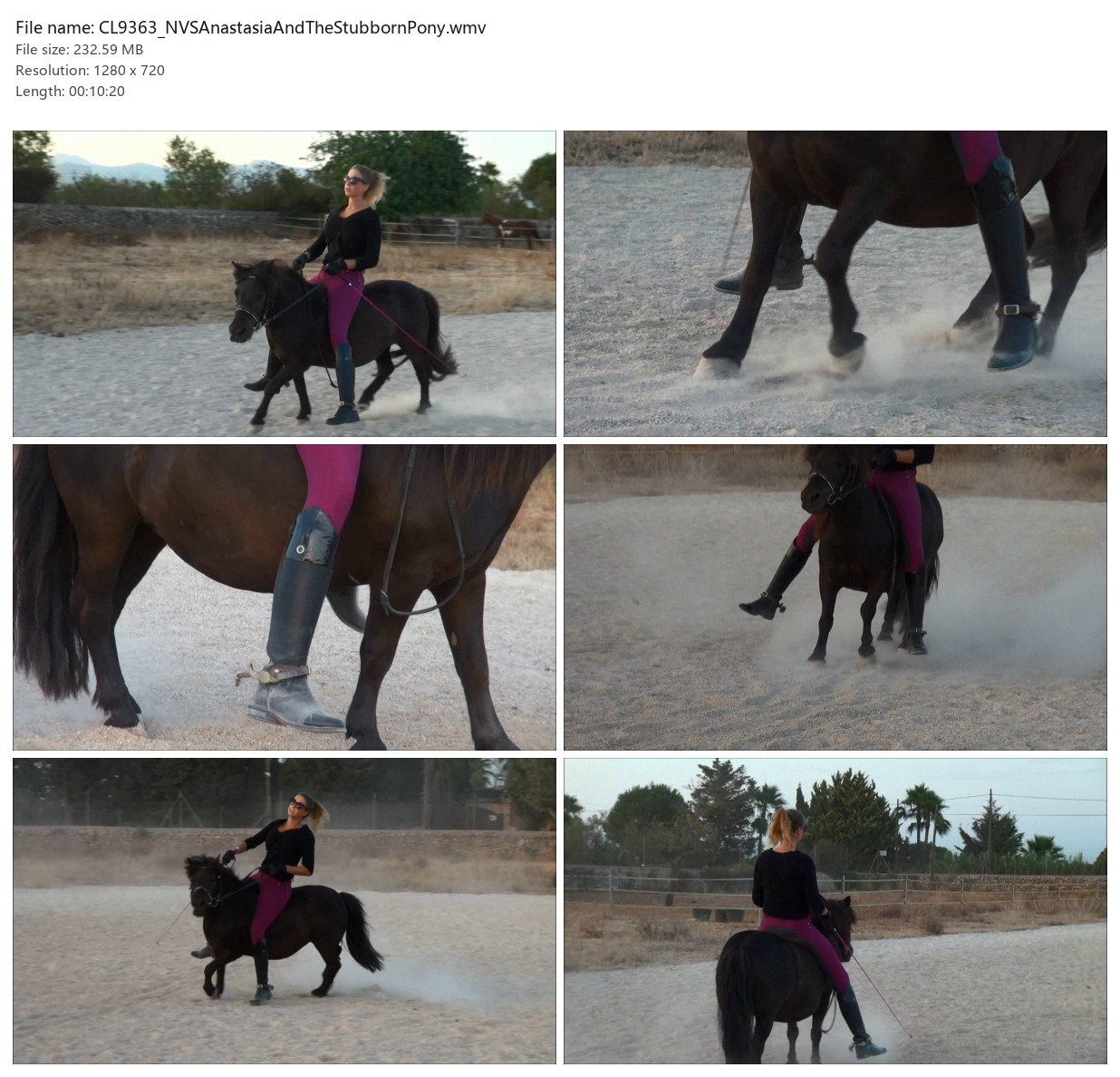CL9363_NVSAnastasiaAndTheStubbornPony.wmv_2x3.jpg