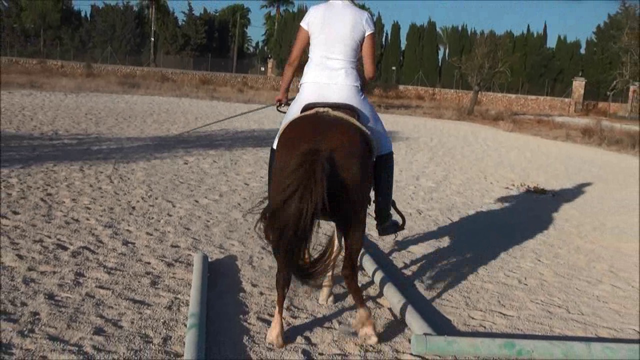 CL9363_NVSAnastasiaInWhite.wmv_random_01.jpg