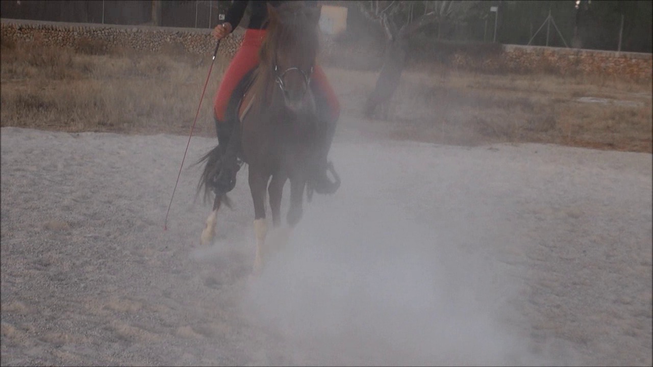 CL9363_NVSAnastasiaSpringWithThePony.wmv_random_01.jpg