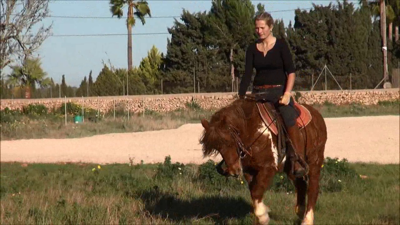CL9363_NVSDakotaInRage.wmv_random_01.jpg