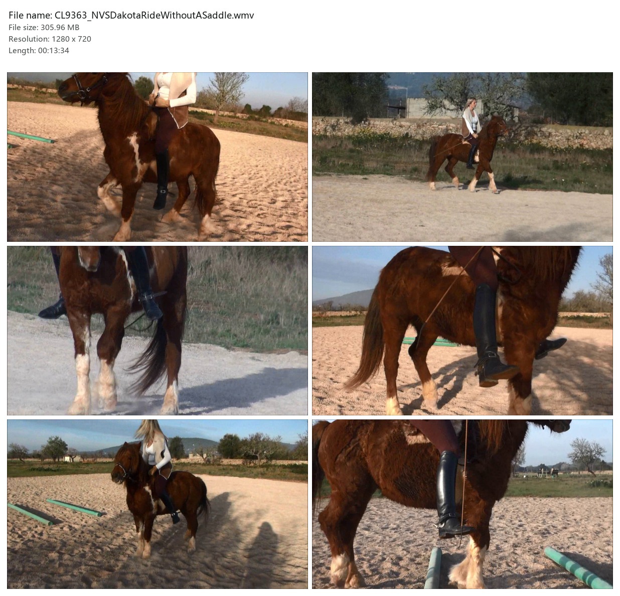 CL9363_NVSDakotaRideWithoutASaddle.wmv_2x3.jpg
