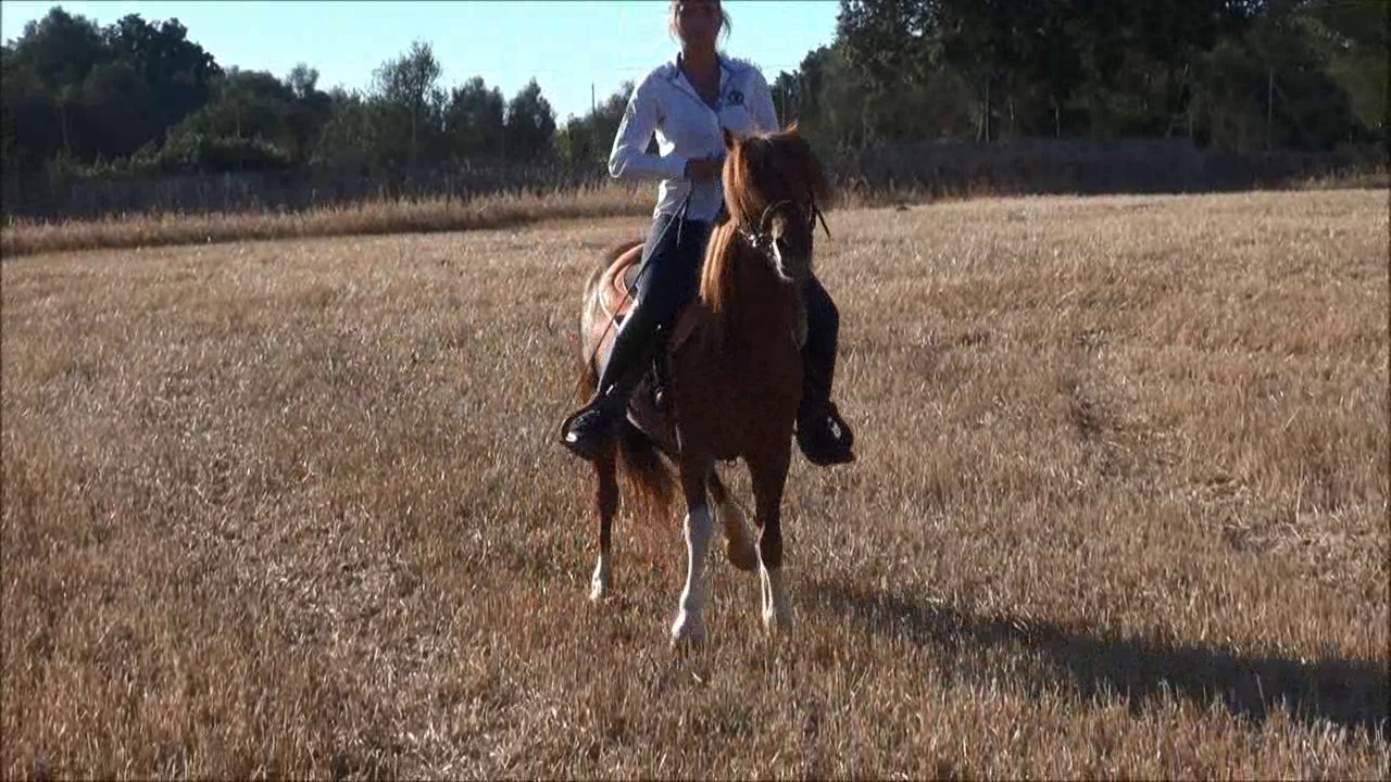 CL9363 NVSDakotasAdventureWithSissy.wmv