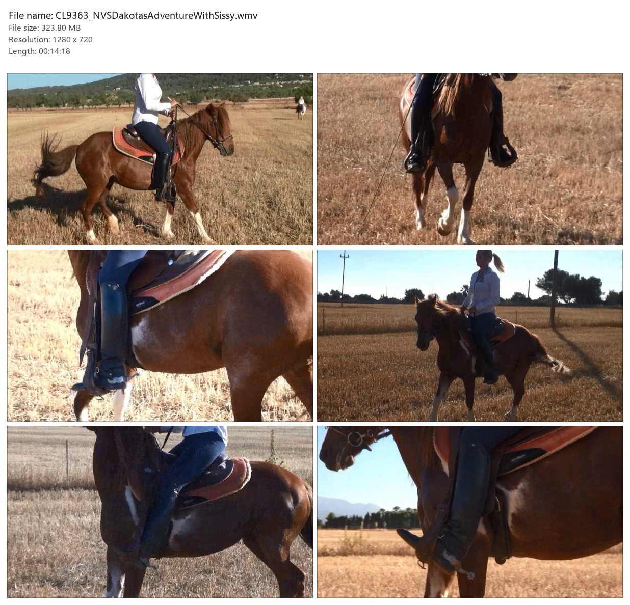 CL9363_NVSDakotasAdventureWithSissy.wmv_2x3.jpg