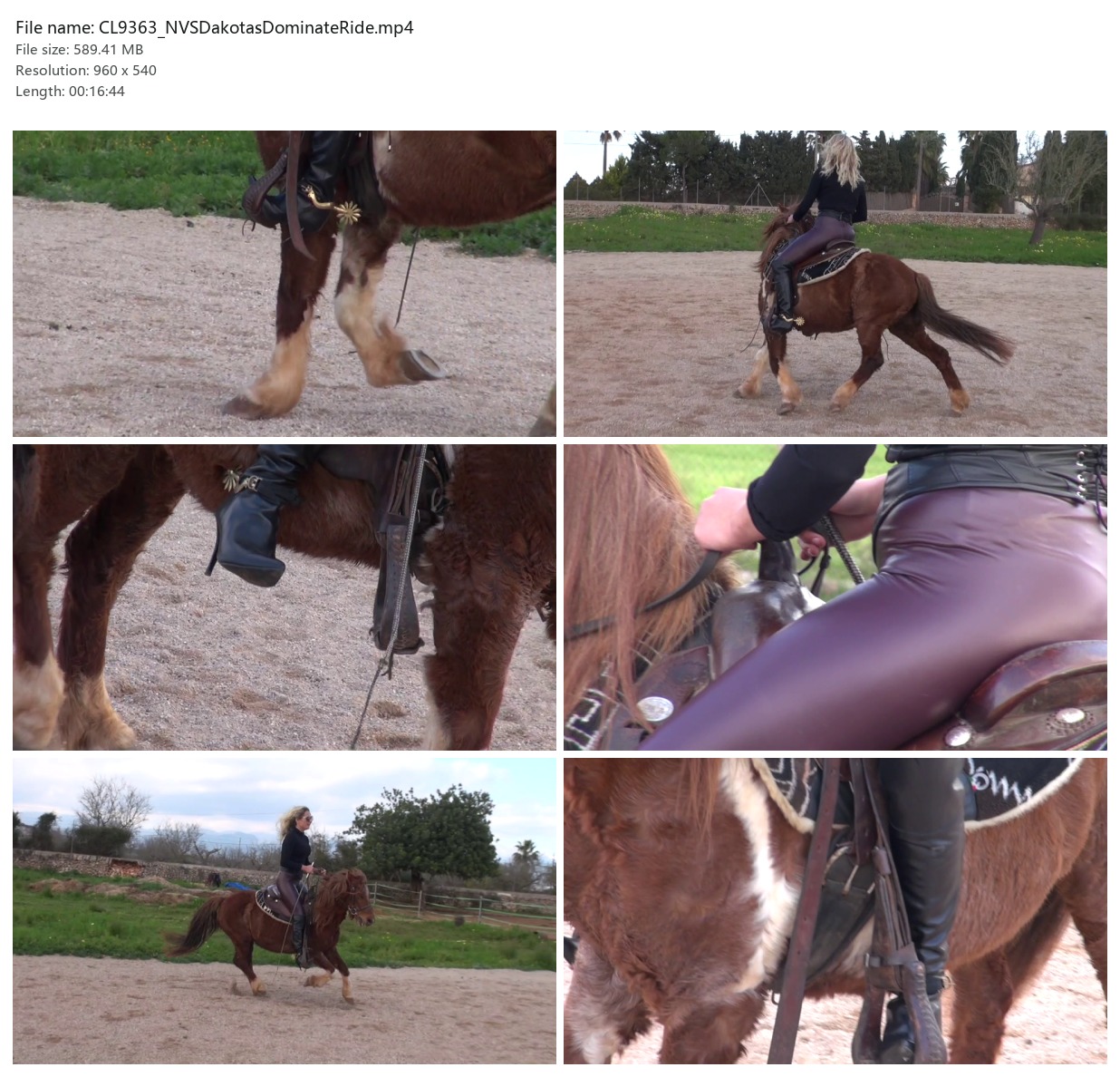 CL9363_NVSDakotasDominateRide.mp4_2x3.jpg