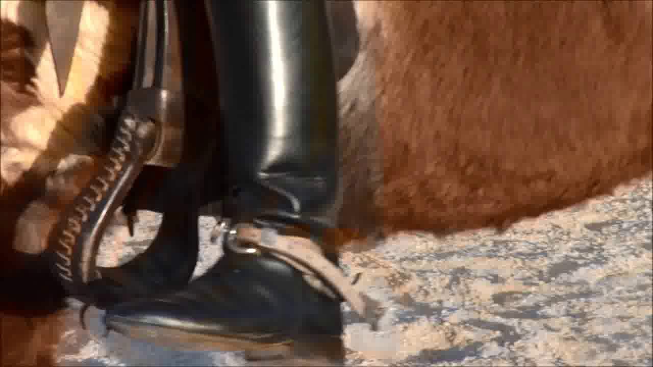 CL9363_NVSDakotasKoenigsstiefel.wmv_random_01.jpg