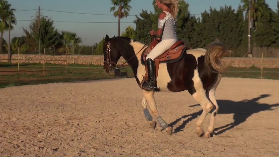 CL9363_NVSDakotasLongTrainingWithTheHorse2.mp4_random_01.jpg