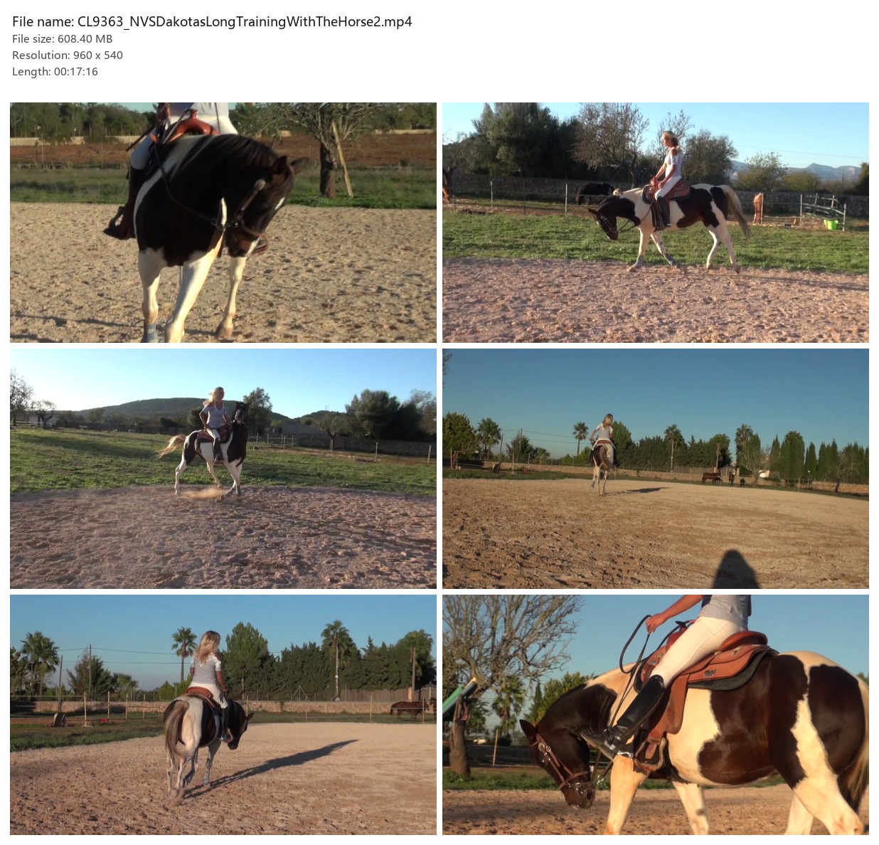 CL9363_NVSDakotasLongTrainingWithTheHorse2.mp4_2x3.jpg