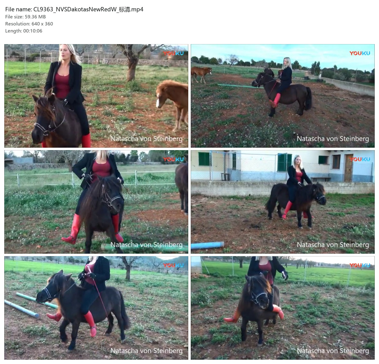 CL9363_NVSDakotasNewRedW_标清.mp4_2x3.jpg