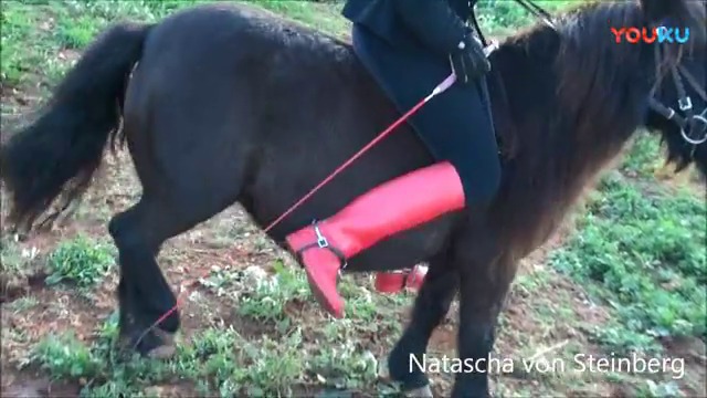 CL9363_NVSDakotasNewRedW_标清.mp4_random_01.jpg