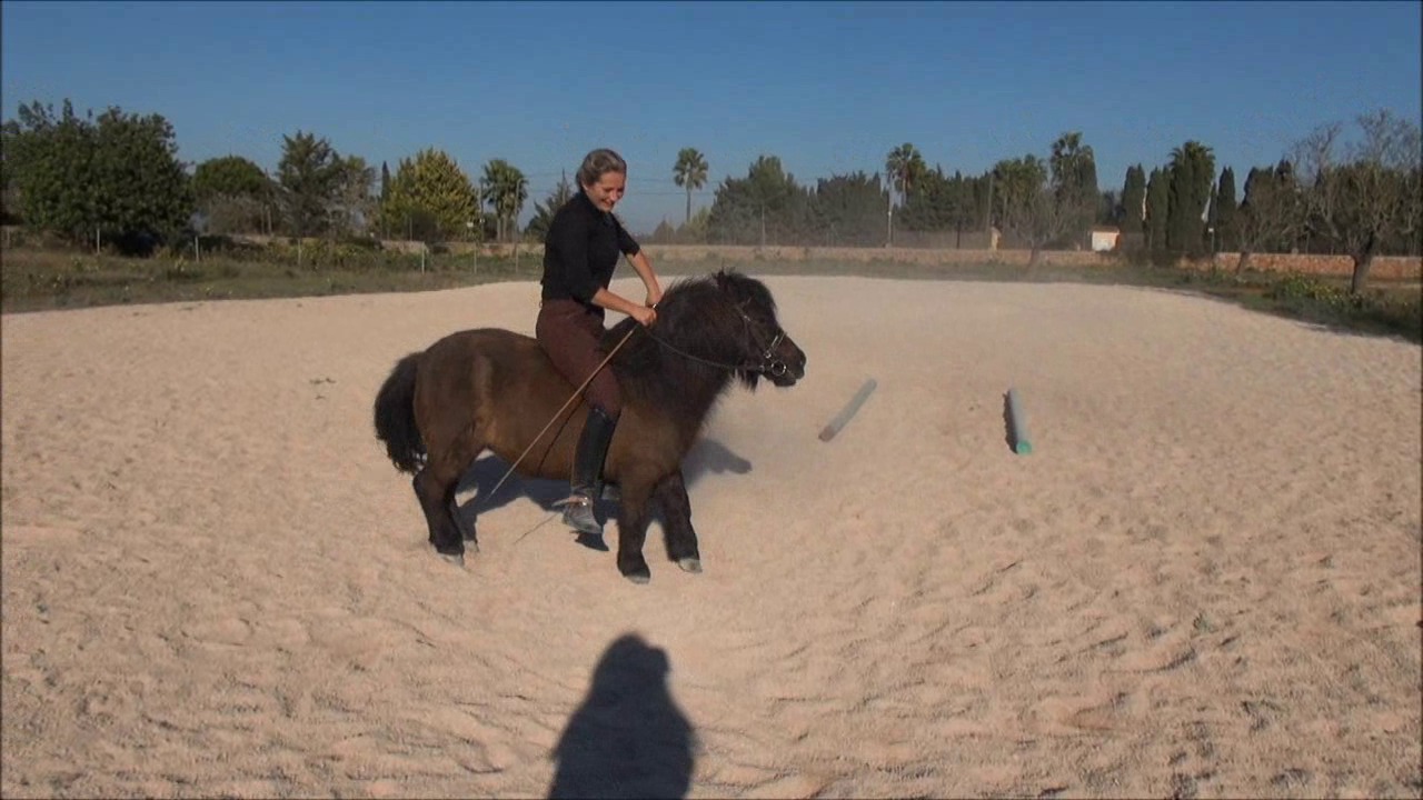 CL9363_NVSDakotasPonyTraining.wmv_random_01.jpg