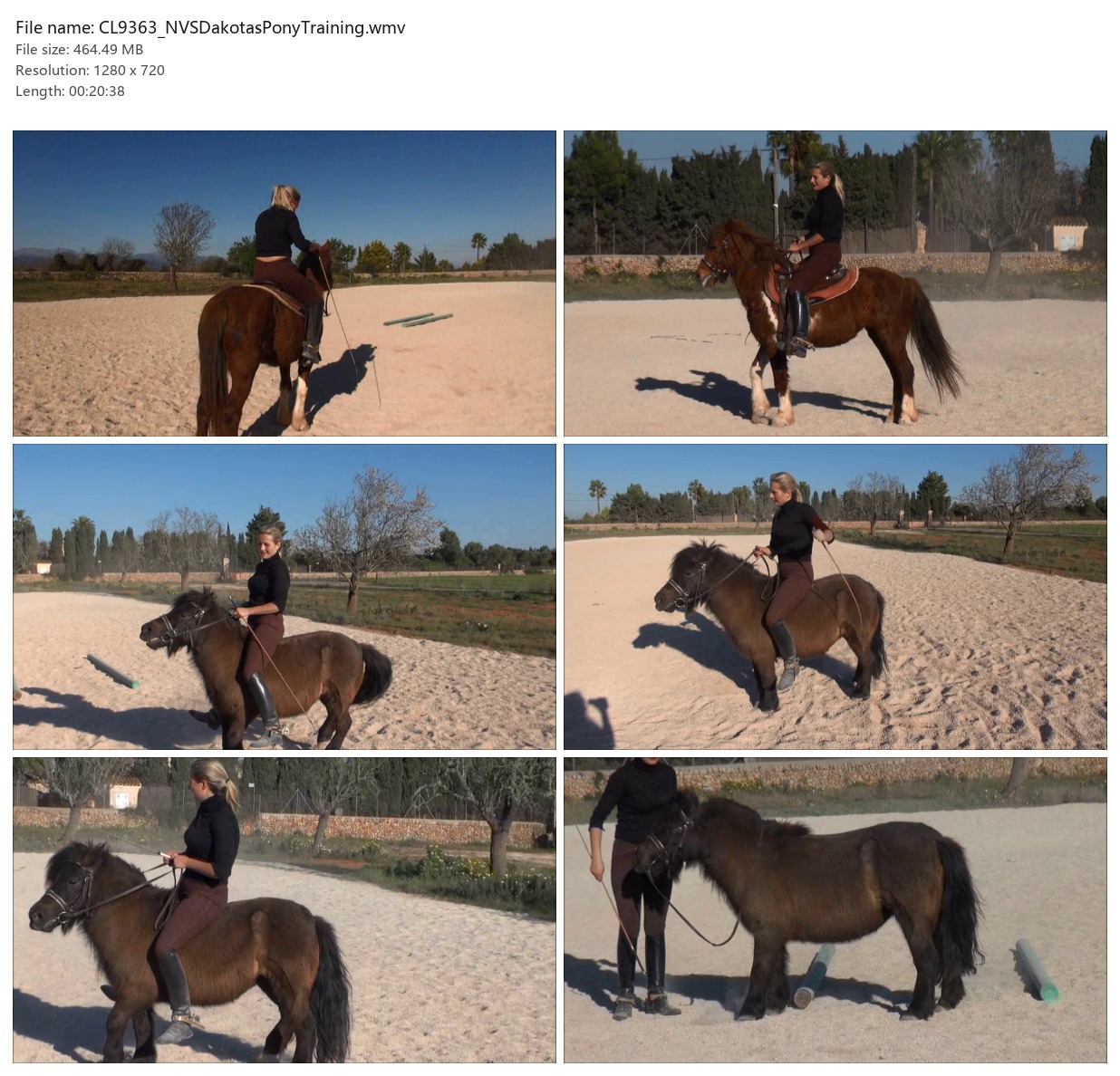 CL9363_NVSDakotasPonyTraining.wmv_2x3.jpg
