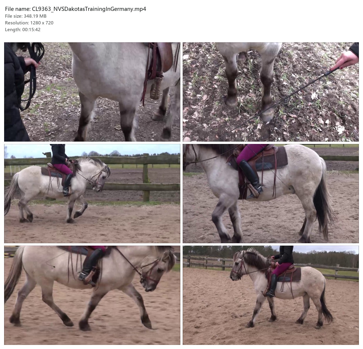 CL9363_NVSDakotasTrainingInGermany.mp4_2x3.jpg