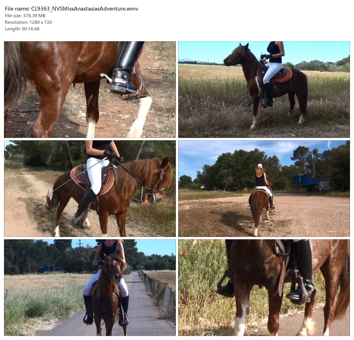 CL9363_NVSMissAnastasiasAdventure.wmv_2x3.jpg