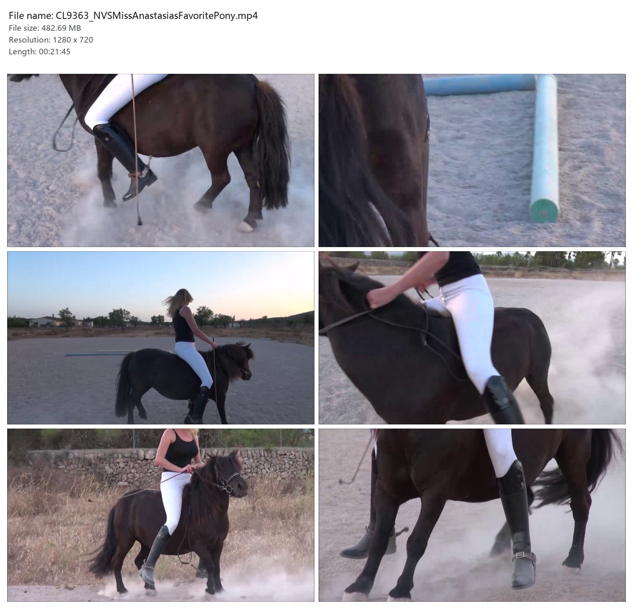 CL9363_NVSMissAnastasiasFavoritePony.mp4_2x3.jpg