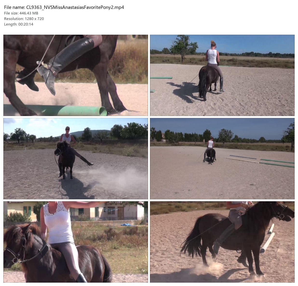 CL9363_NVSMissAnastasiasFavoritePony2.mp4_2x3.jpg