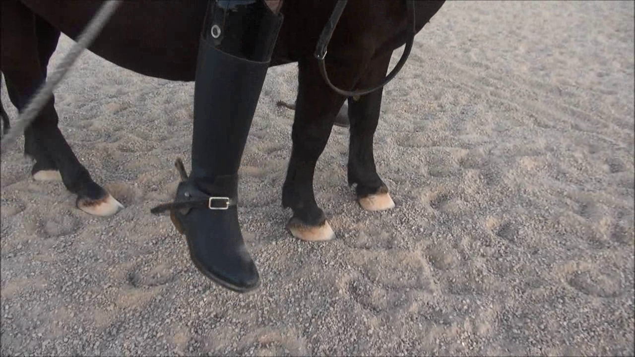 CL9363_NVSMissAnastasiasGoodPony.wmv_random_01.jpg