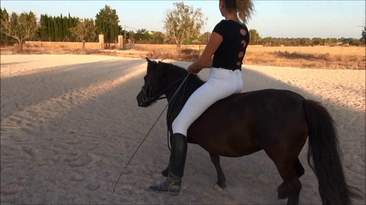 CL9363_NVSMissAnastasiasRide.wmv_random_01.jpg