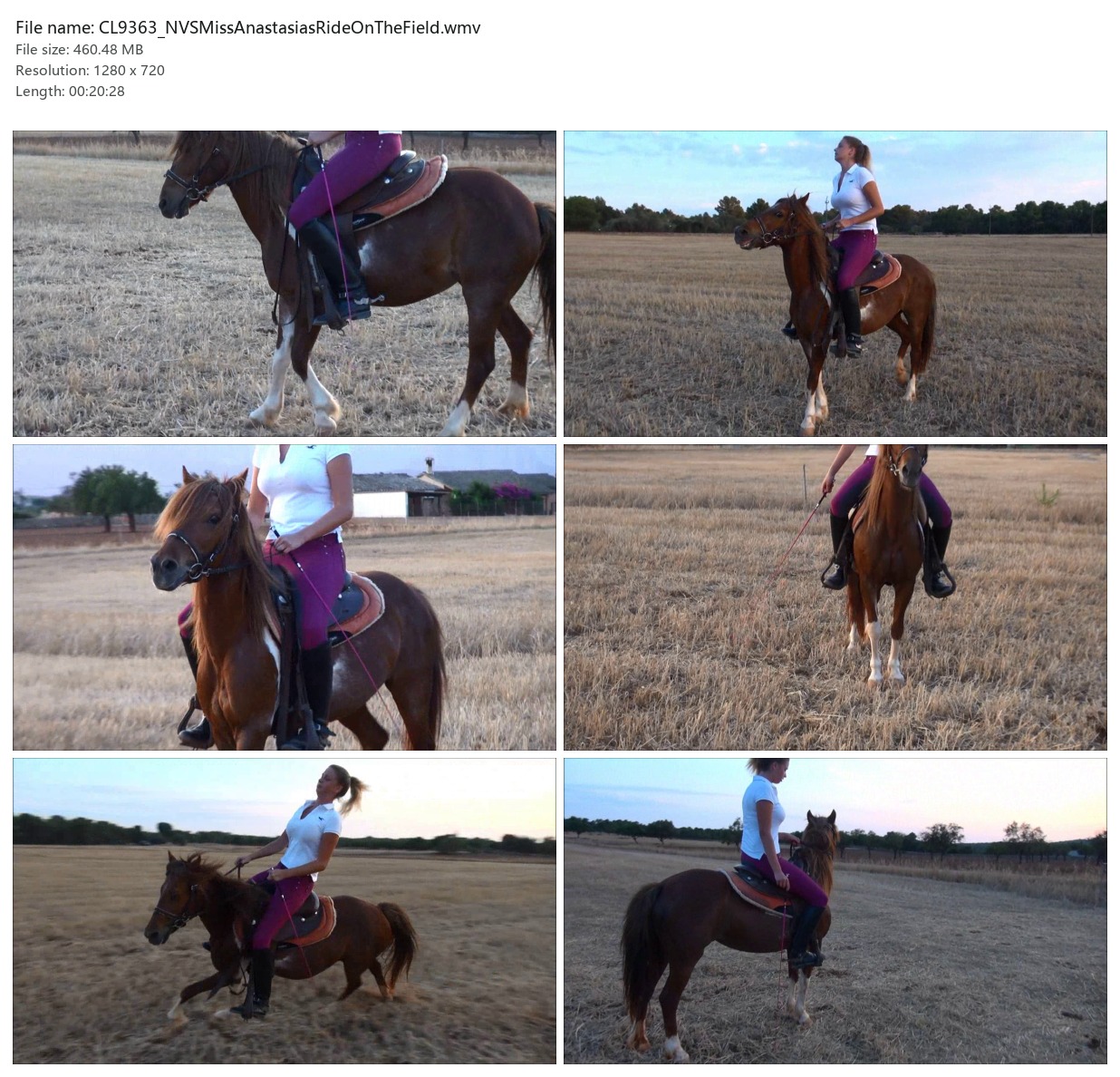 CL9363_NVSMissAnastasiasRideOnTheField.wmv_2x3.jpg