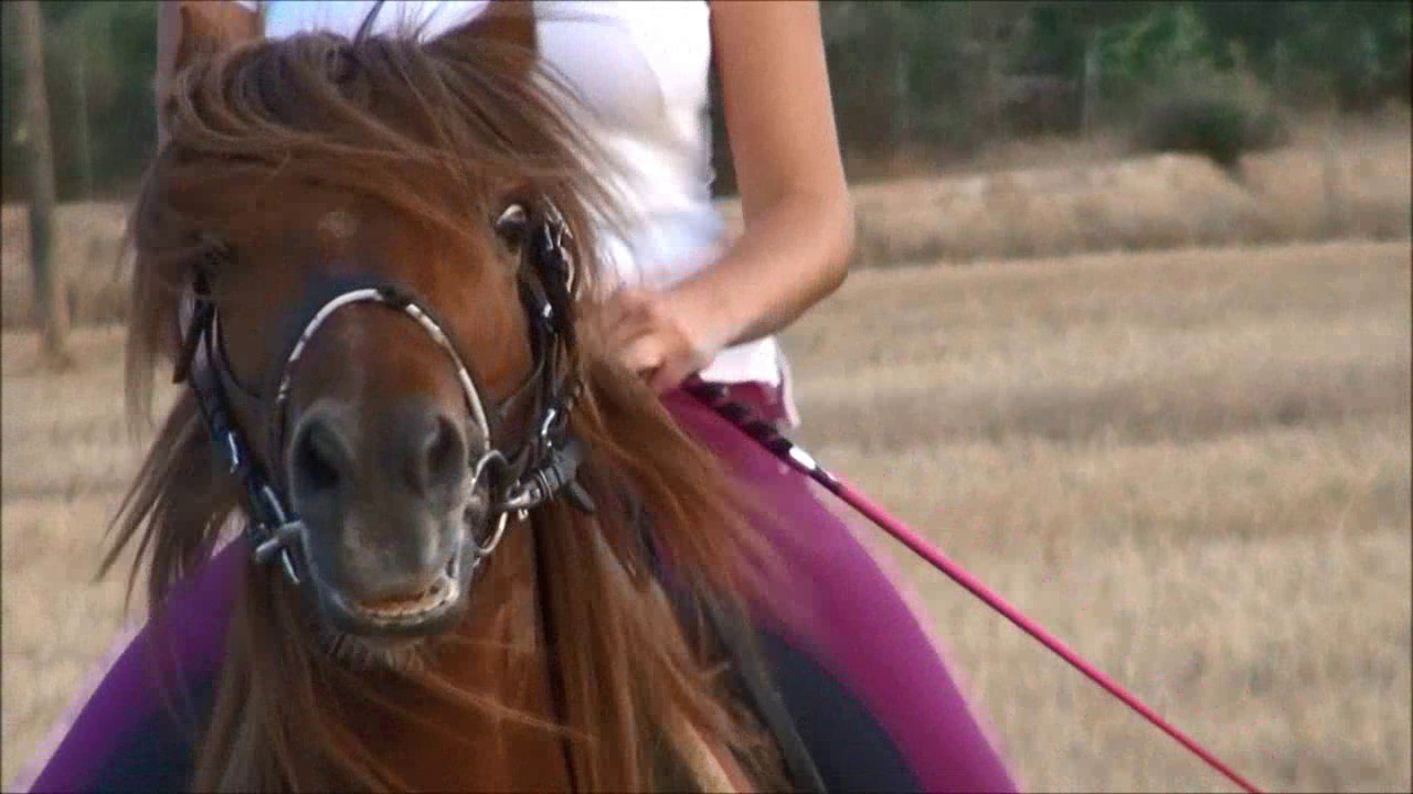 CL9363_NVSMissAnastasiasRideOnTheField.wmv_random_01.jpg