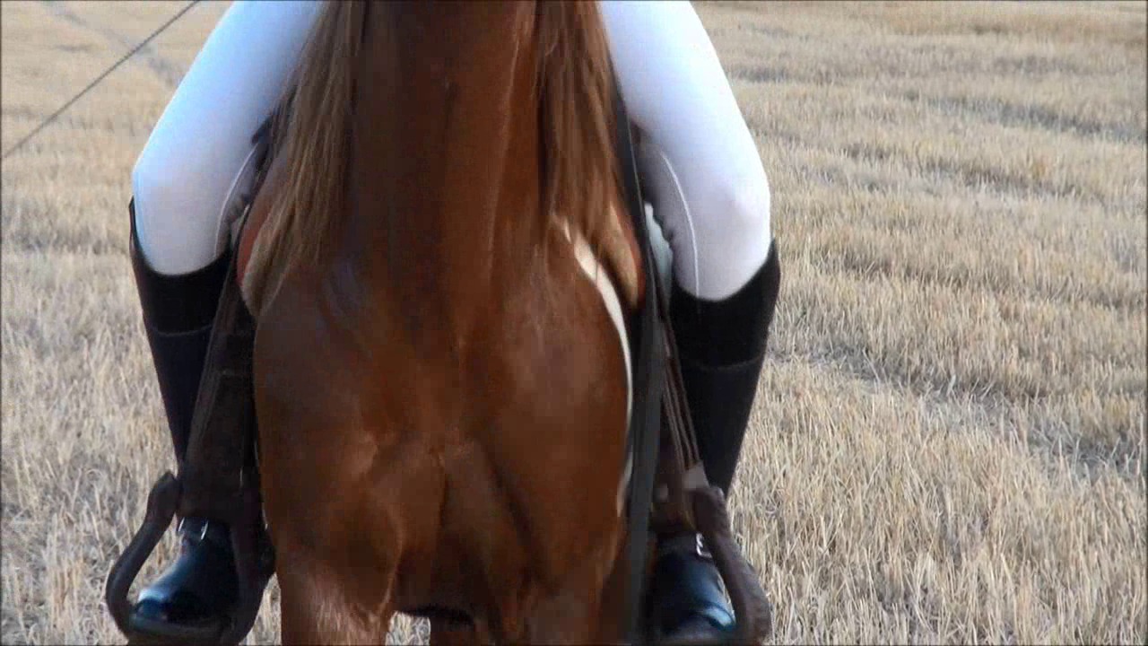 CL9363_NVSMissAnastasiasWildRideWithSissy.wmv_random_01.jpg