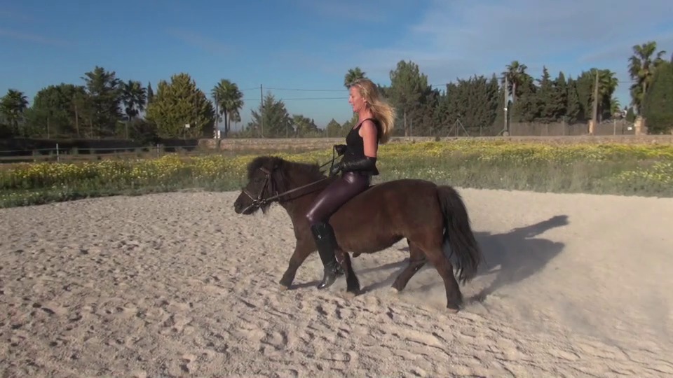 CL9363_NVSMissArabellaAndThePony.mp4_random_01.jpg
