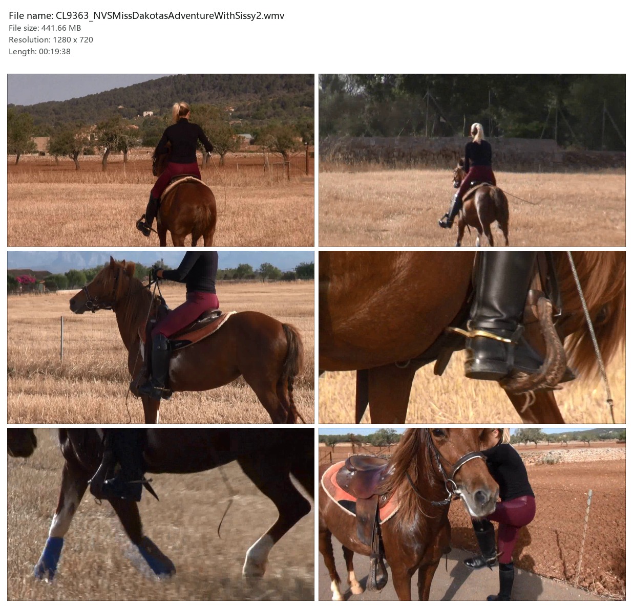 CL9363_NVSMissDakotasAdventureWithSissy2.wmv_2x3.jpg