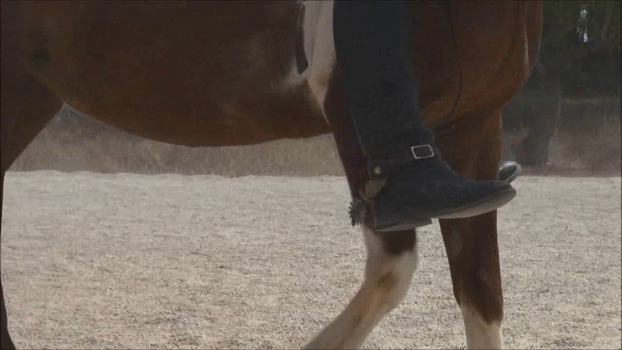 CL9363_NVSMissDakotasAndMisAnastasiasTraining.wmv_random_01.jpg