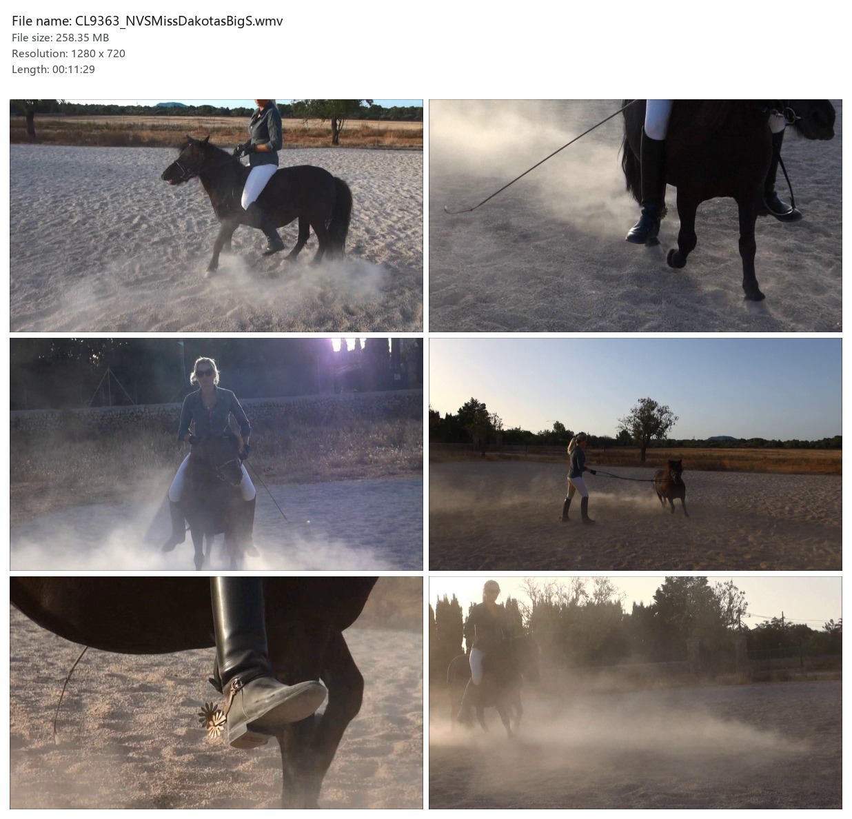 CL9363_NVSMissDakotasBigS.wmv_2x3.jpg