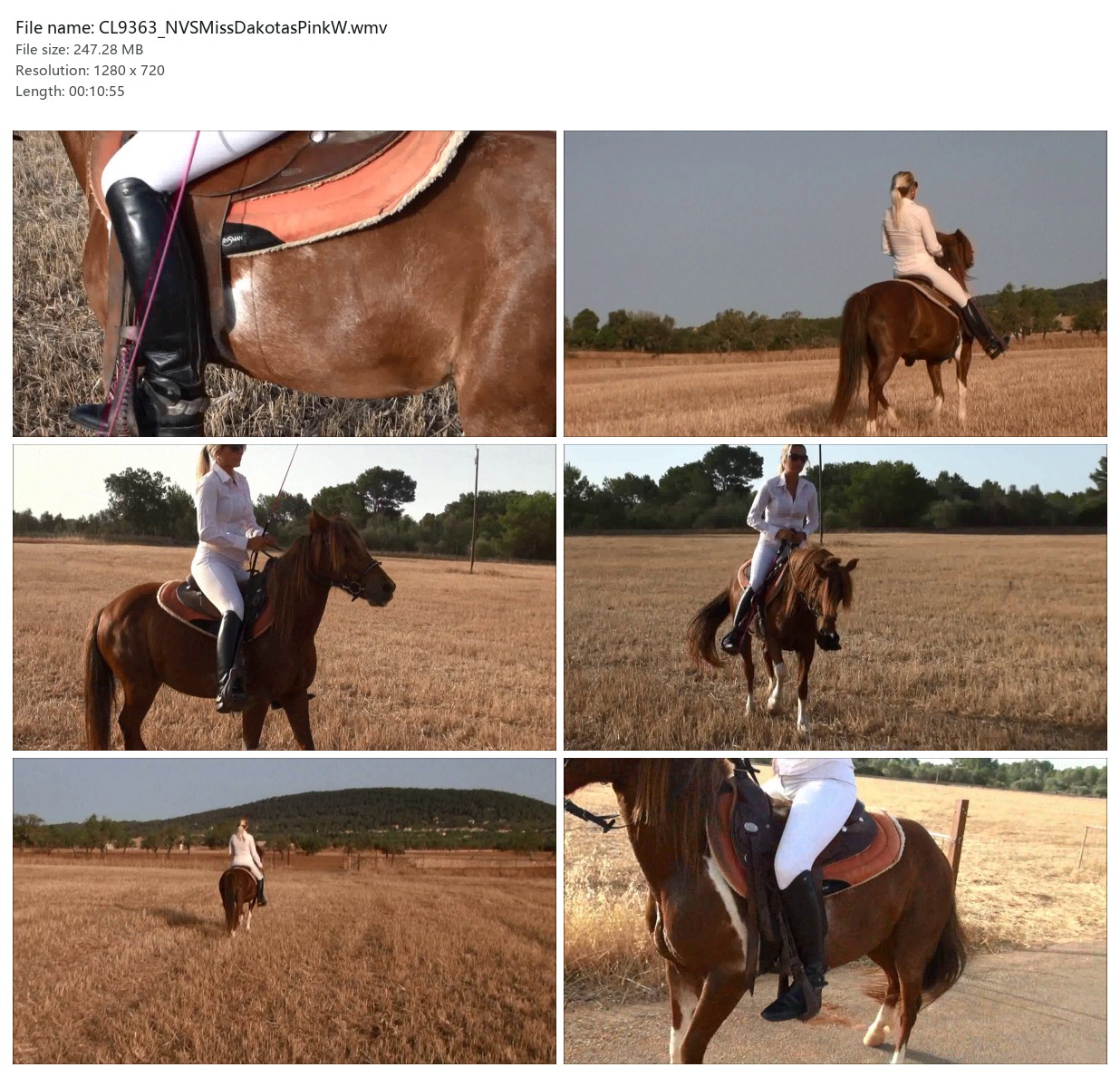 CL9363_NVSMissDakotasPinkW.wmv_2x3.jpg
