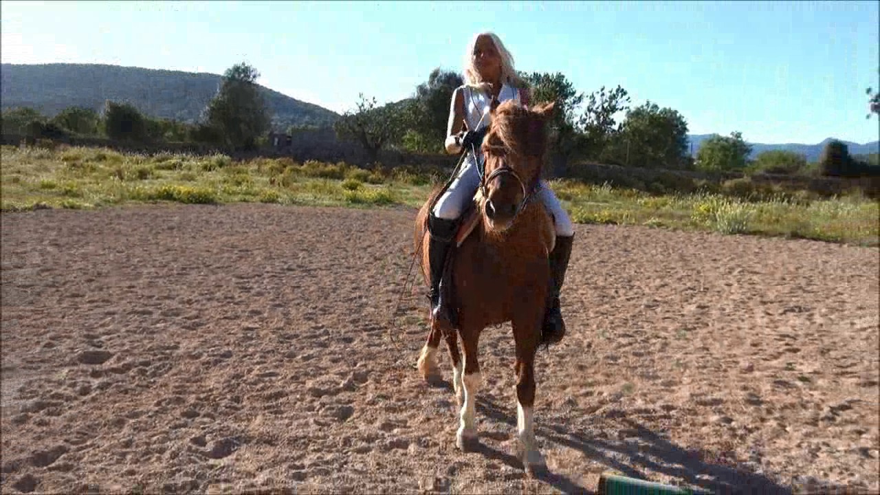 CL9363_NVSMyLongWhip.wmv_random_01.jpg