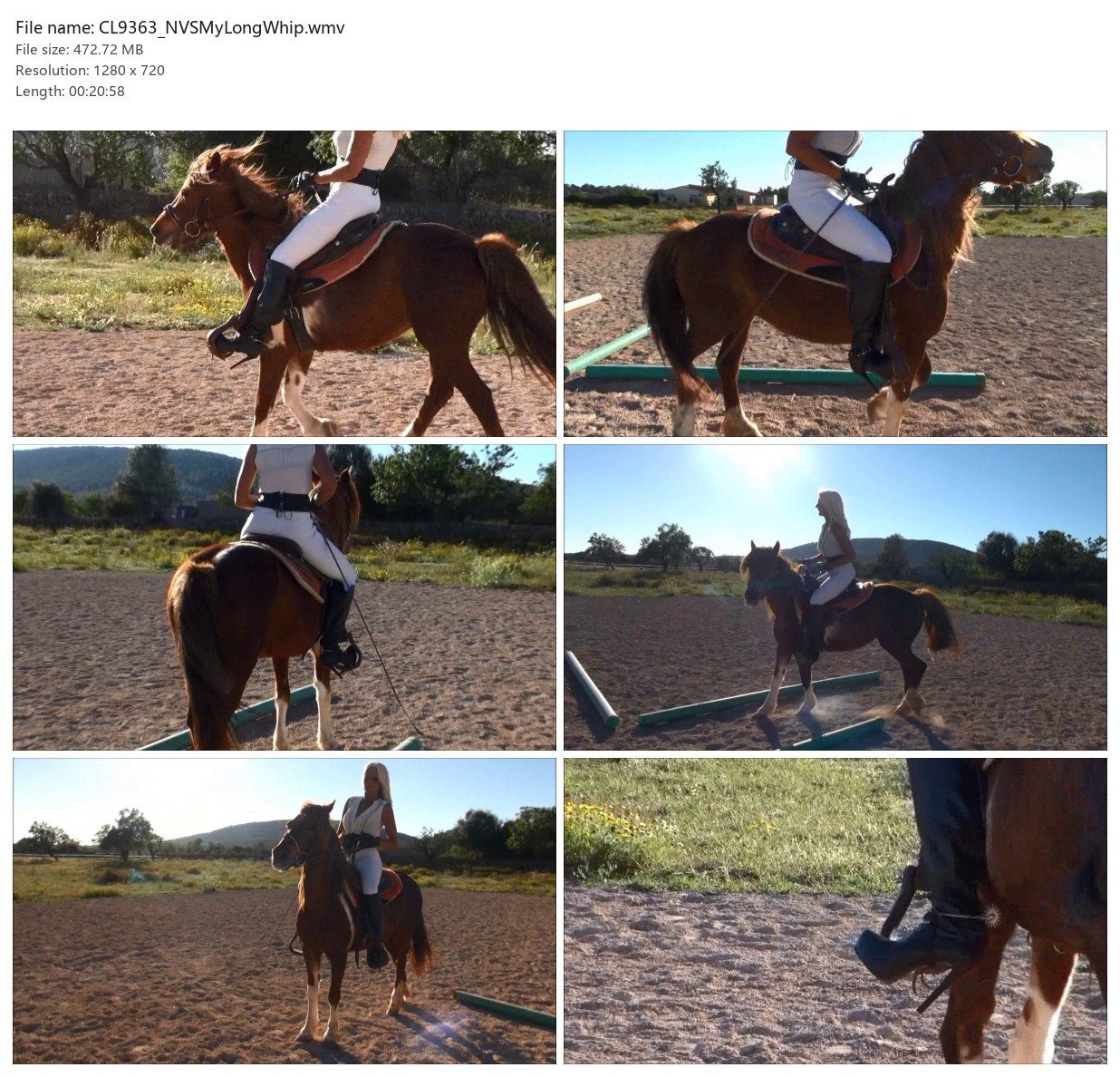 CL9363_NVSMyLongWhip.wmv_2x3.jpg