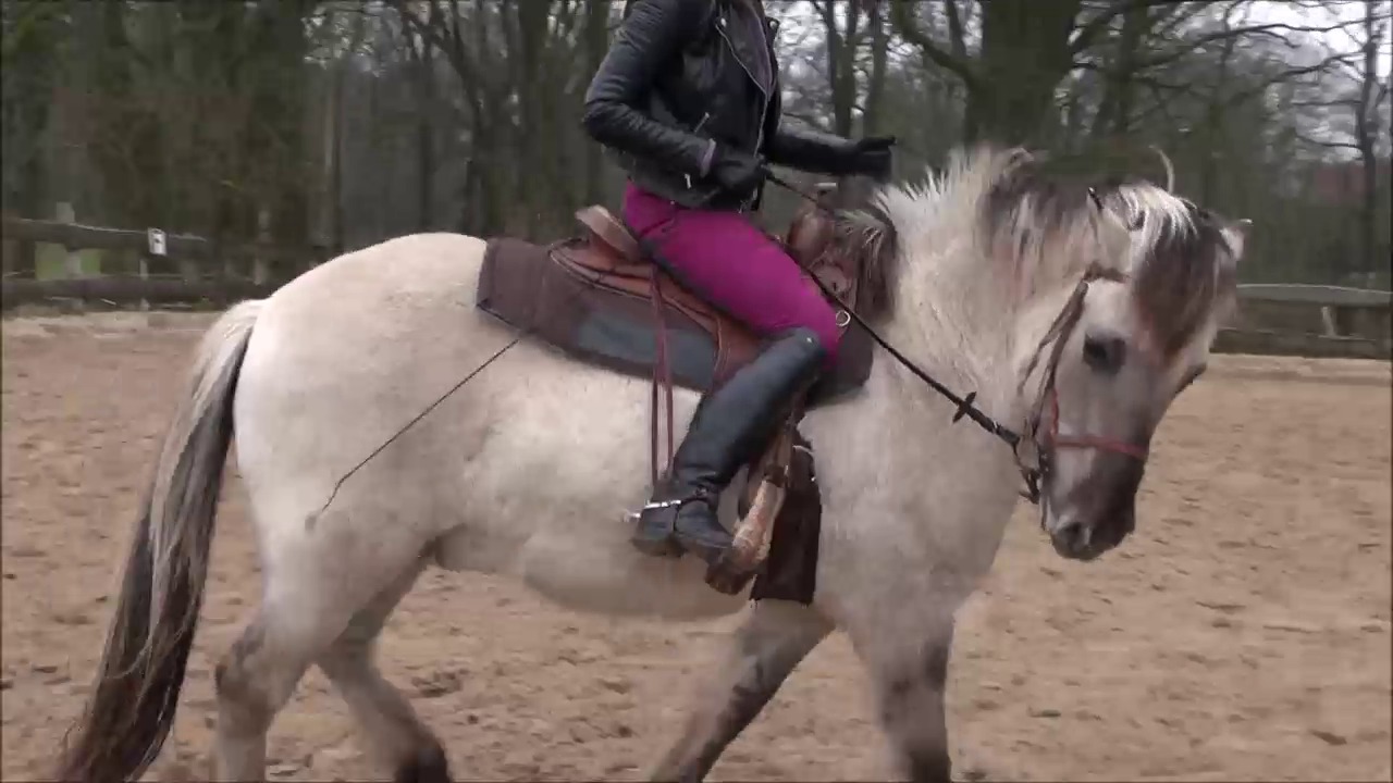 CL9363_NVSNataschaDakotaInGermany.mp4_random_01.jpg