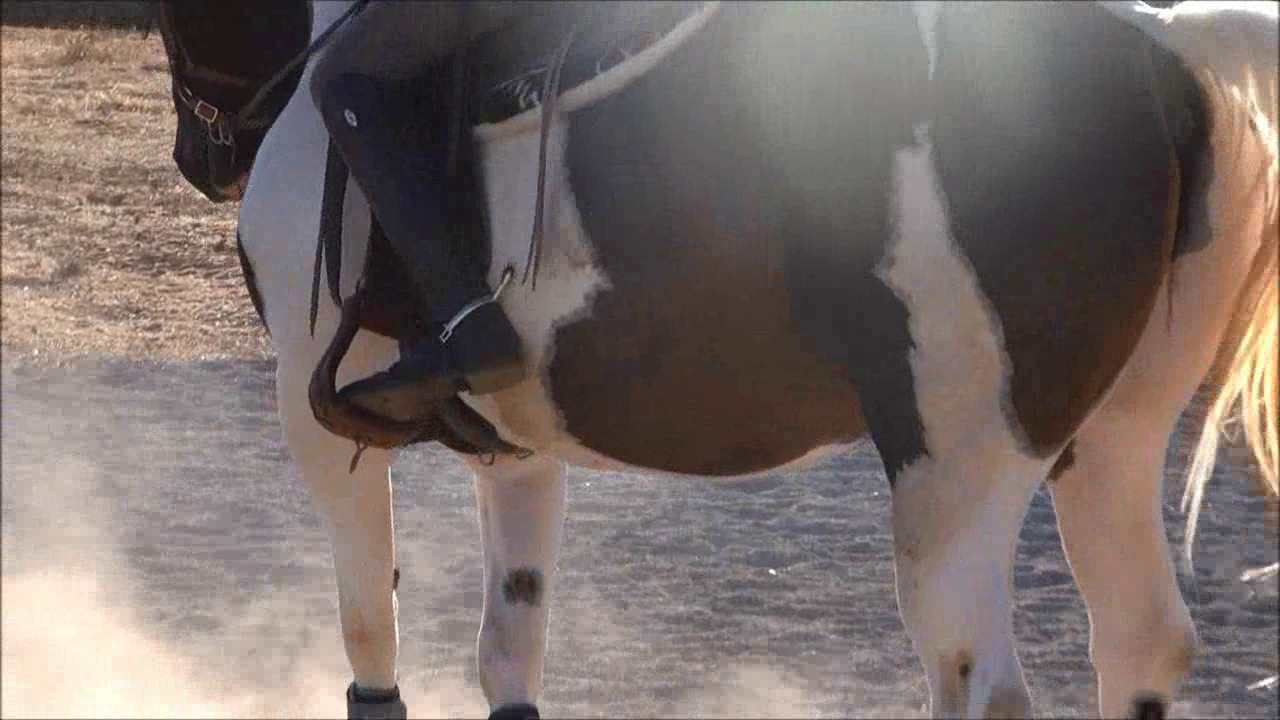 CL9363_NVSNataschasBestS.wmv_random_01.jpg