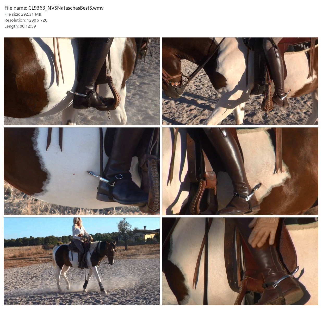 CL9363_NVSNataschasBestS.wmv_2x3.jpg