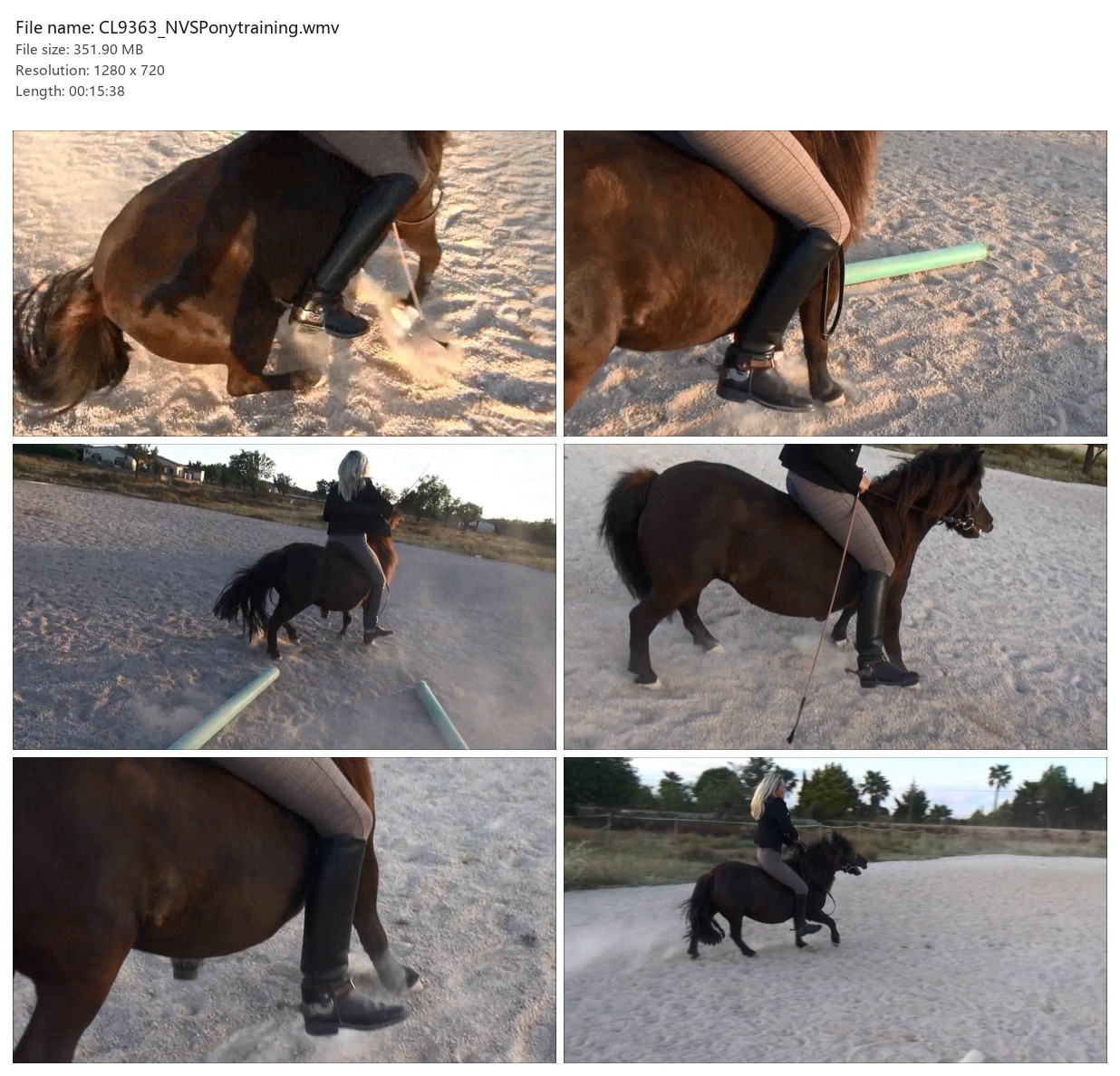 CL9363_NVSPonytraining.wmv_2x3.jpg