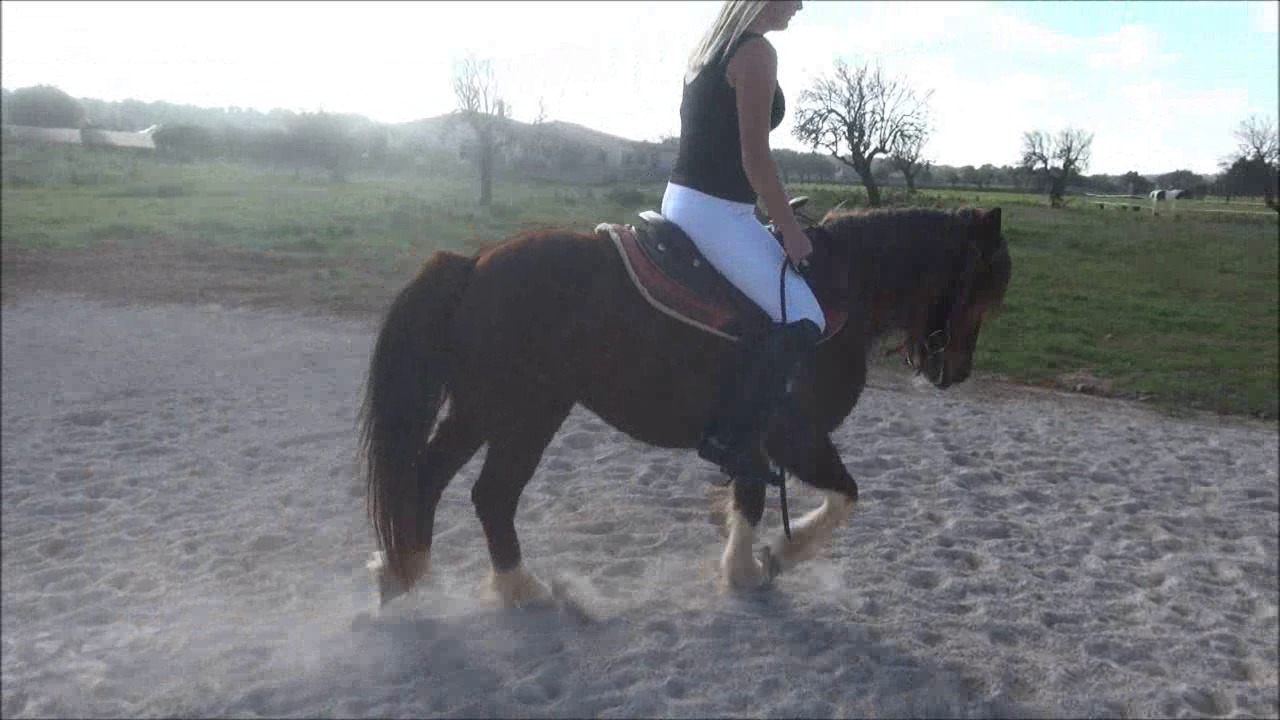 CL9363_NVSSissyAndDakotaInAction.wmv_random_01.jpg