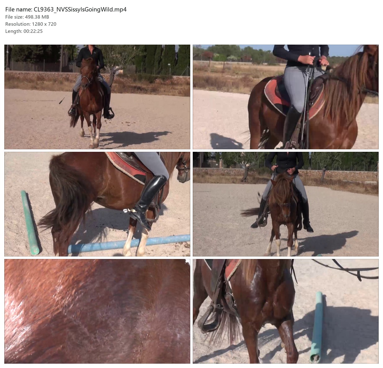CL9363_NVSSissylsGoingWild.mp4_2x3.jpg
