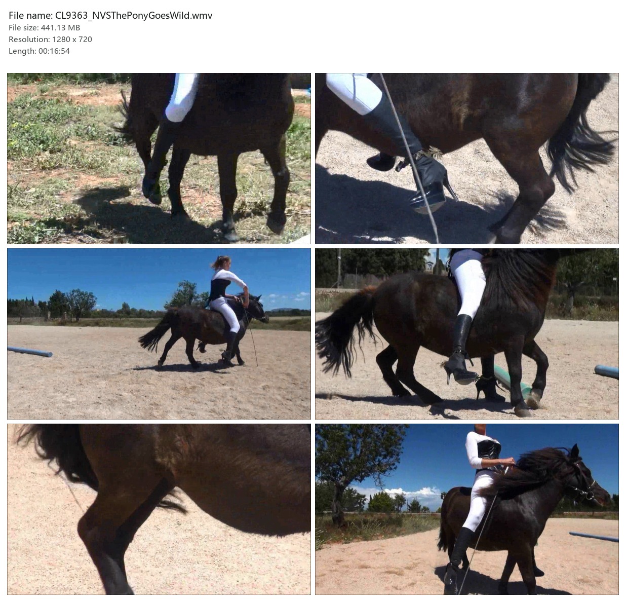 CL9363_NVSThePonyGoesWild.wmv_2x3.jpg