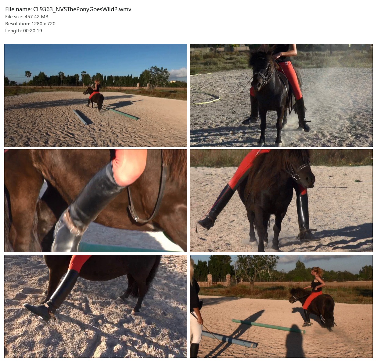 CL9363_NVSThePonyGoesWild2.wmv_2x3.jpg