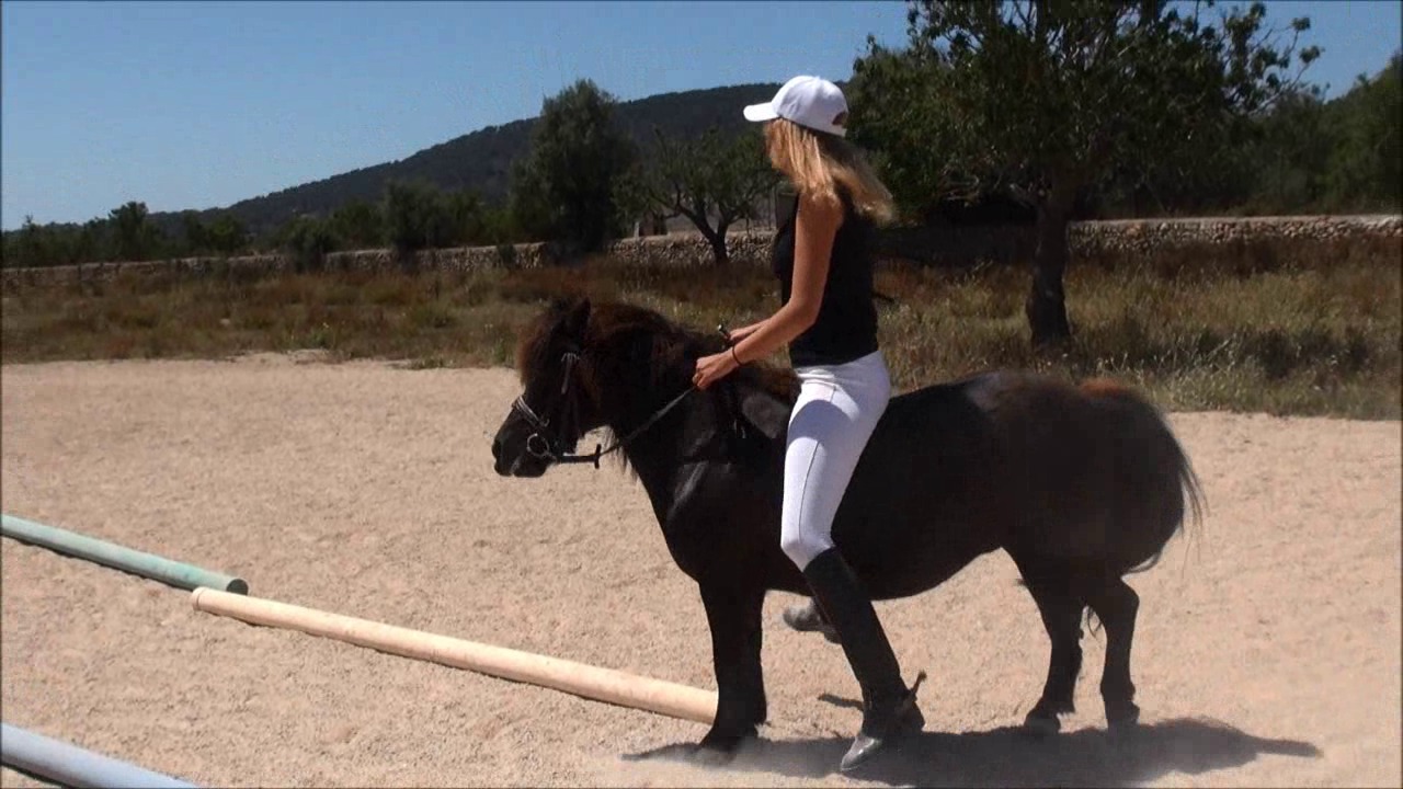 CL9363_NVSThePonyGoesWild3.wmv_random_01.jpg