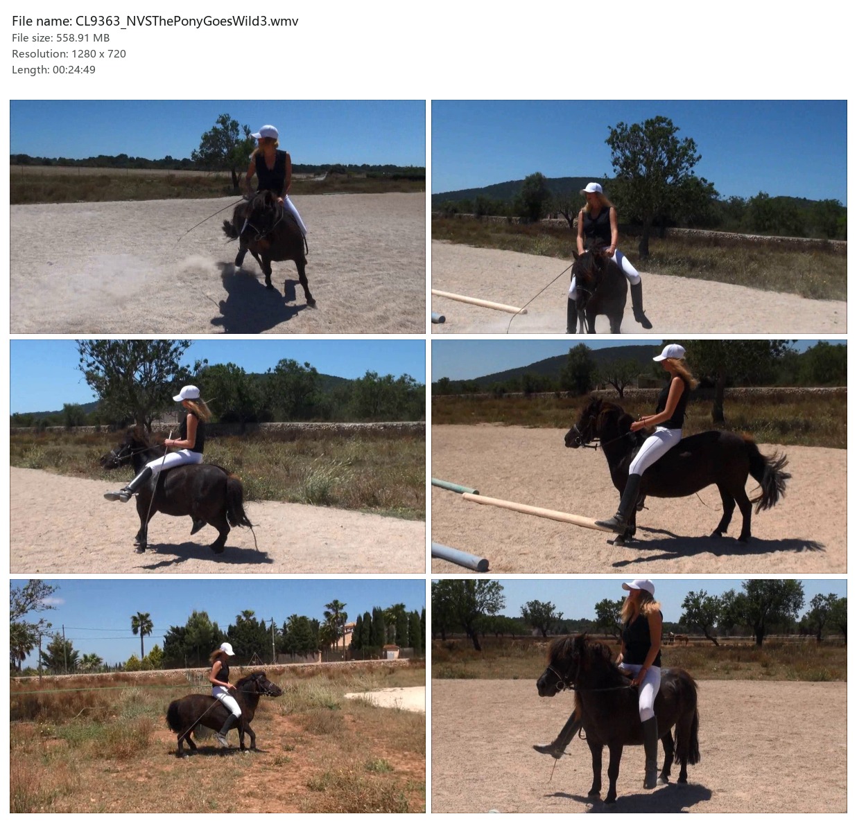 CL9363_NVSThePonyGoesWild3.wmv_2x3.jpg