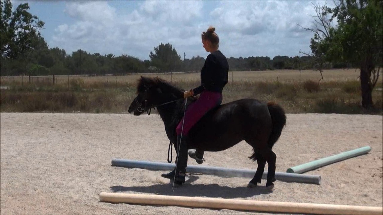 CL9363_NVSThePonyGoesWild4.wmv_random_01.jpg