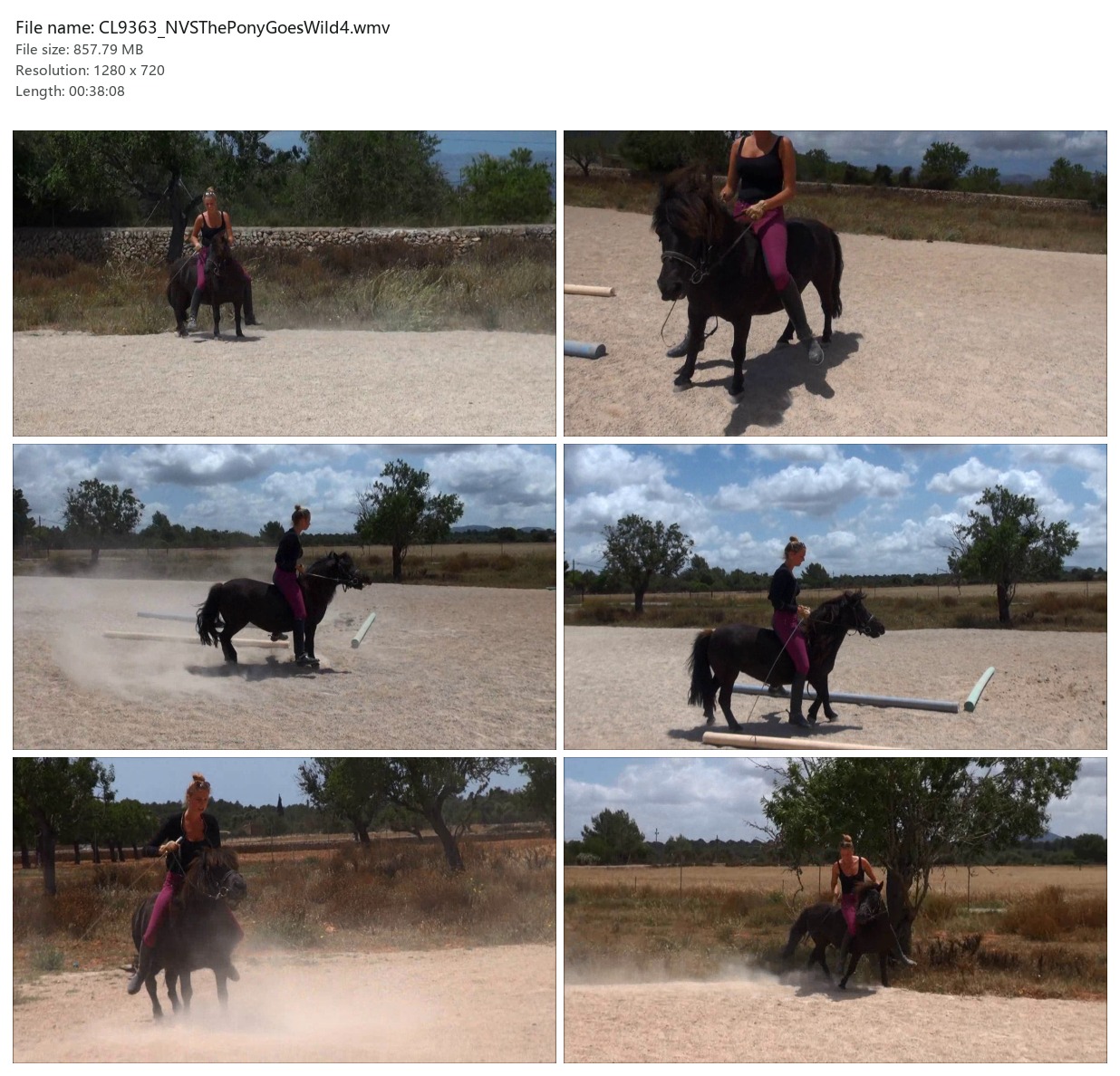 CL9363_NVSThePonyGoesWild4.wmv_2x3.jpg