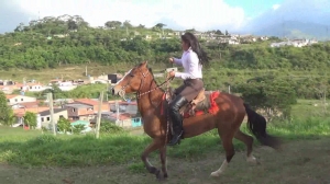 CL8565 TFAEArebenqueFantasyOnPeribecoByAmaK.wmv