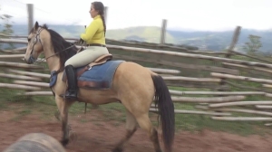 CL8565 TF BuckingFlorentinoAnna.wmv