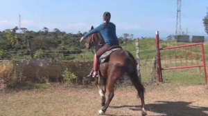 CL8565 Yf Ye VeronicatraininginTRT.wmv