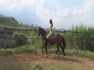 CL8565 tf FK te venusontheroundpenwhitcastaway.wmv