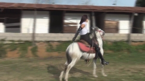 Helpless Pony.wmv