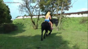 CL0106_Prime_Condition.mp4